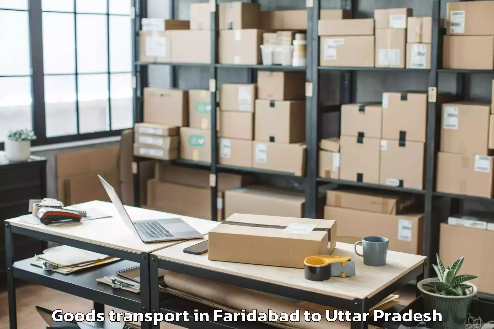 Faridabad to Pharenda Goods Transport